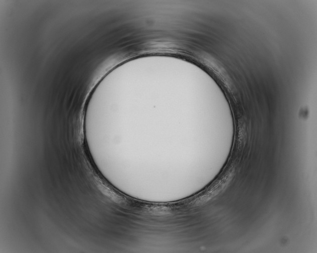 X0000099551370200806061507