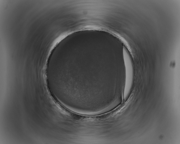 X0000099551373200806061507