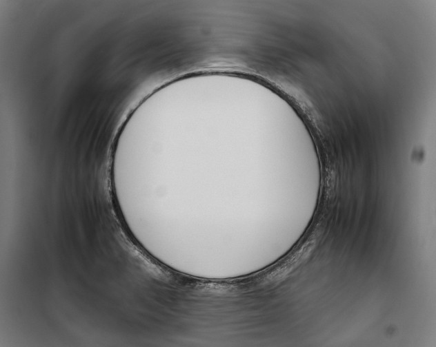 X0000099551374200806061507