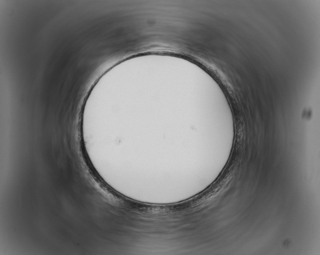 X0000099551375200806061507