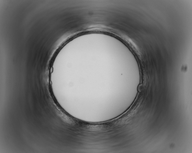 X0000099551376200806061507