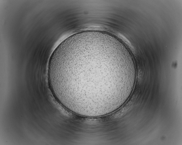 X0000099551378200806061507