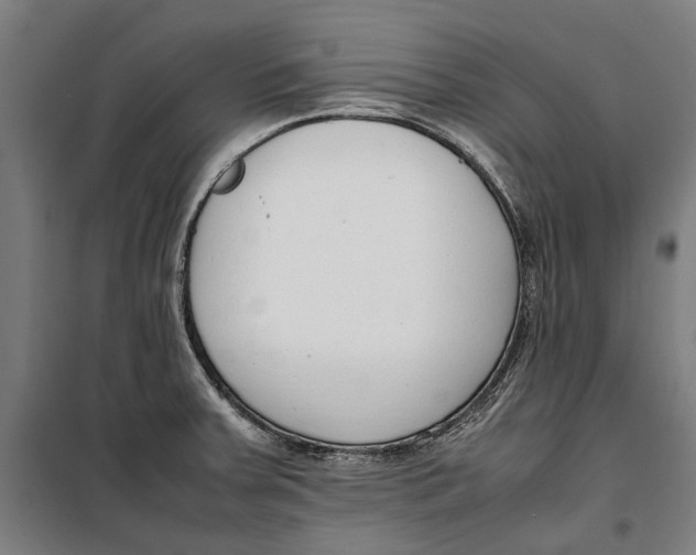 X0000099551379200806061507