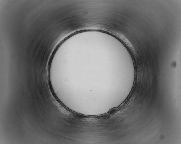 X0000099551380200806061507