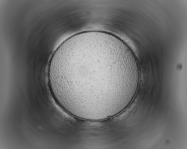 X0000099551382200806061507