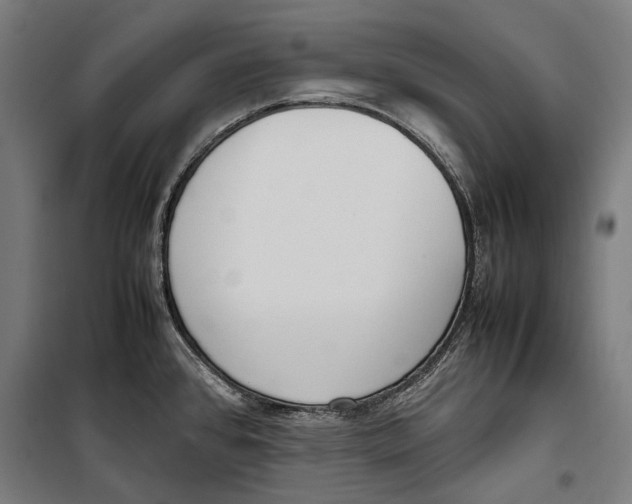 X0000099551384200806061507