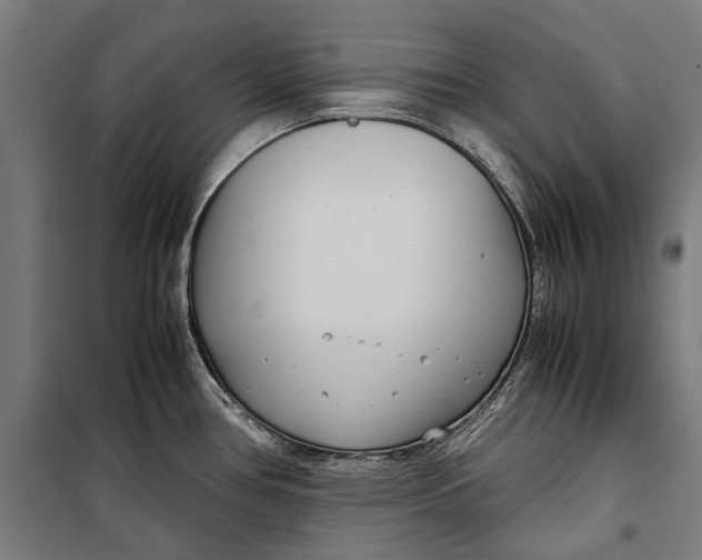 X0000099551386200806061507