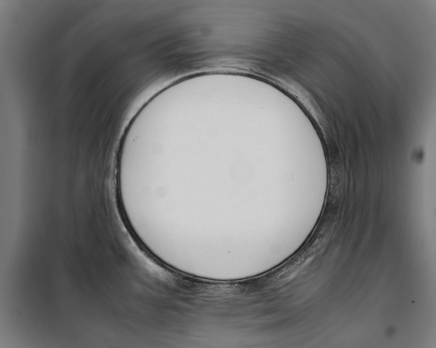 X0000099551387200806061507