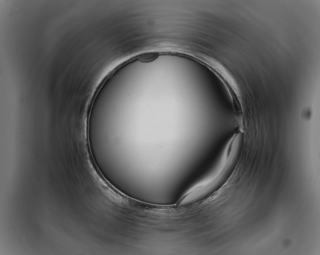 X0000099551388200806061507