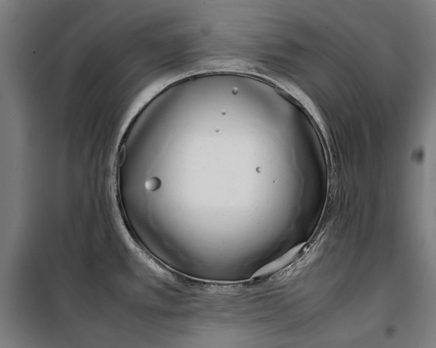 X0000099551389200806061507