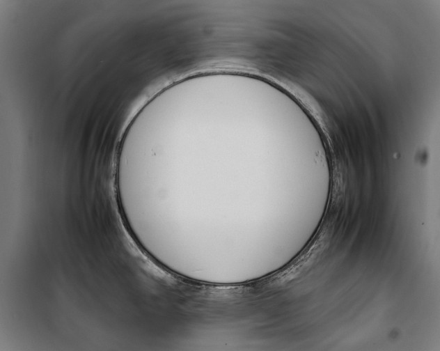 X0000099551390200806061507