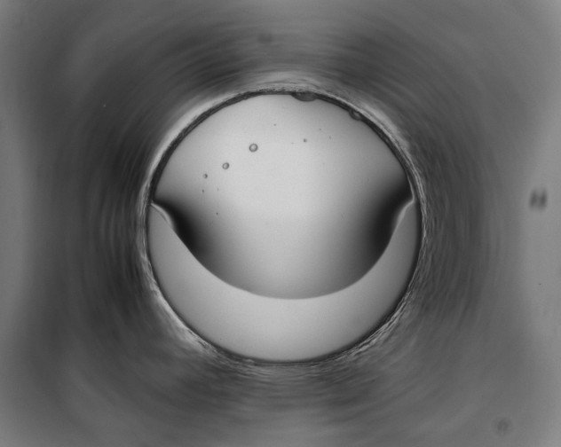 X0000099551392200806061507