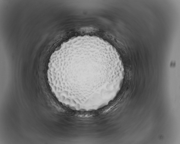 X0000099551393200806061506