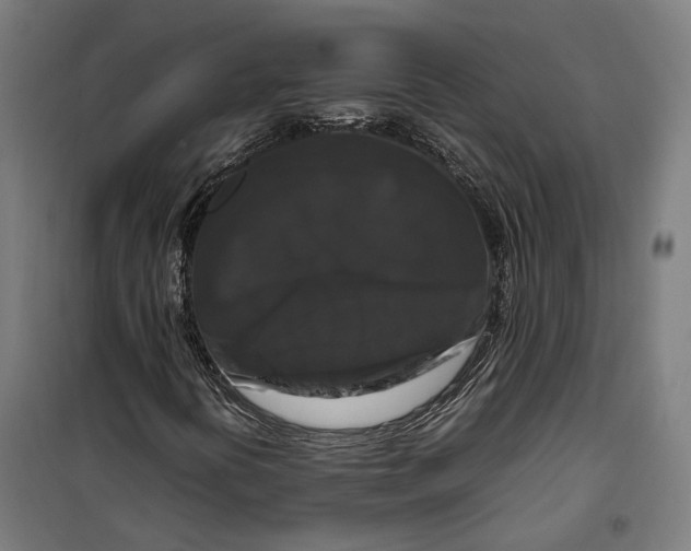 X0000099551394200806061506