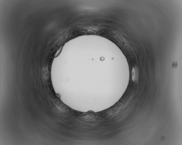 X0000099551395200806061506