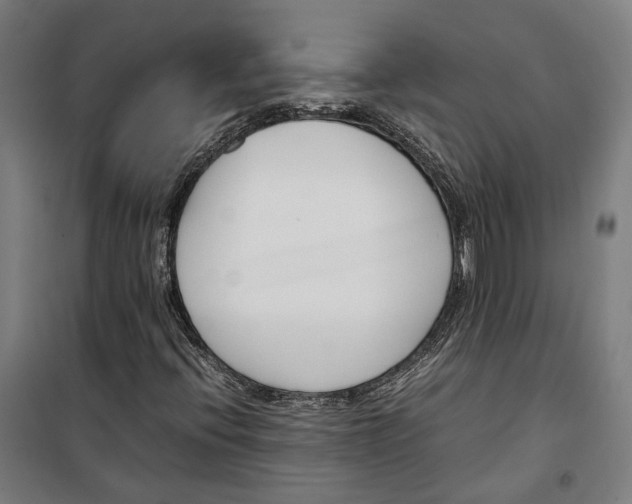 X0000099551396200806061506