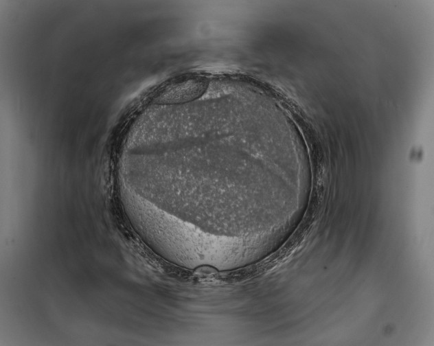 X0000099551398200806061506