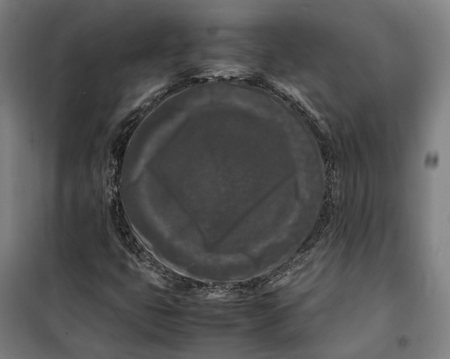 X0000099551399200806061506