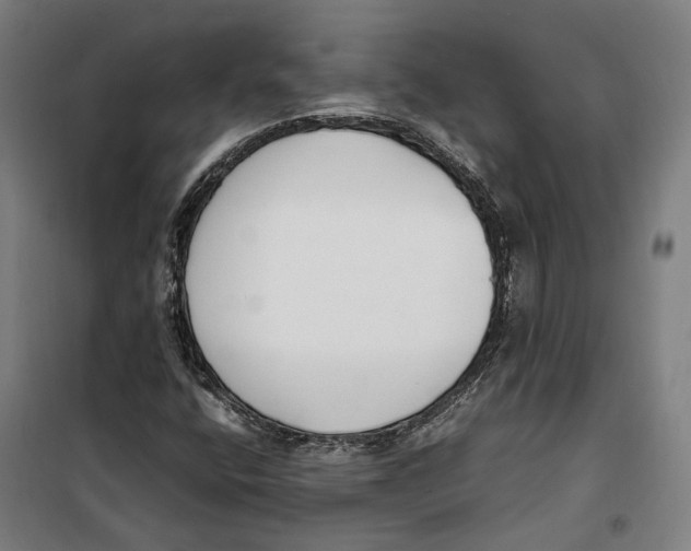 X0000099551400200806061506