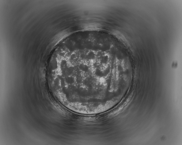 X0000099551401200806061506