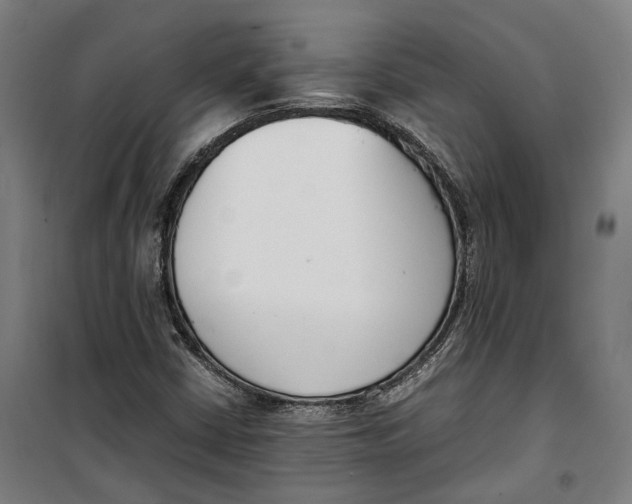 X0000099551402200806061506