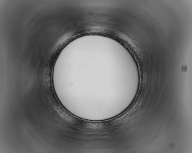 X0000099551403200806061506