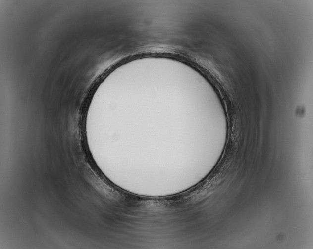 X0000099551404200806061506