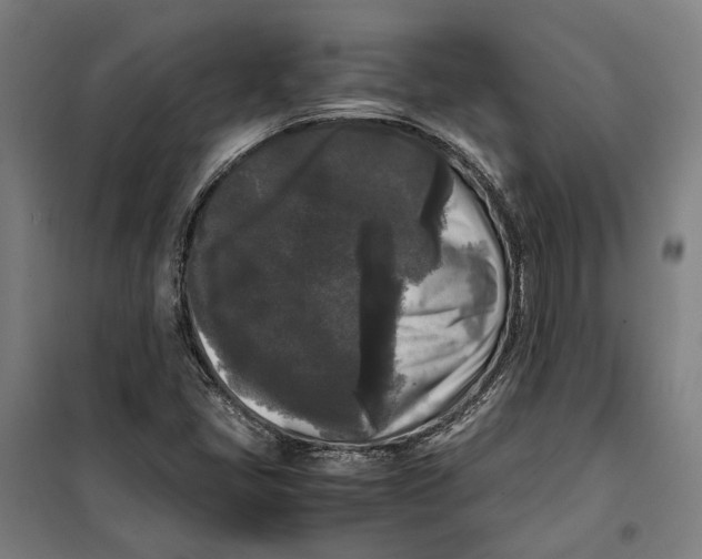 X0000099551405200806061506