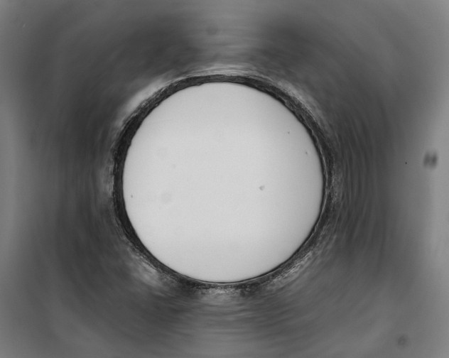 X0000099551406200806061506