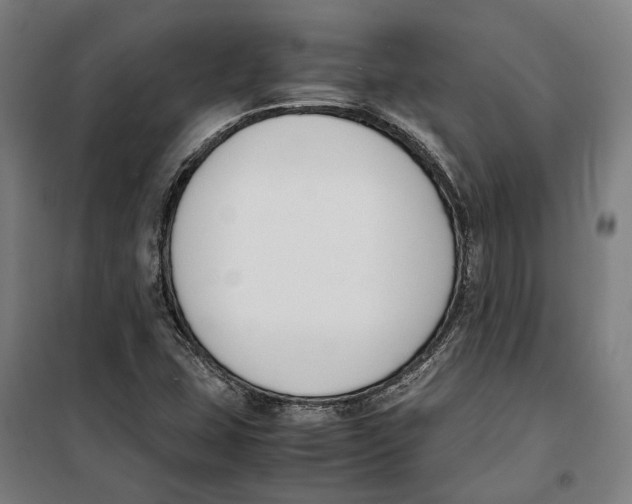 X0000099551407200806061506