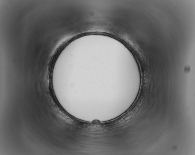 X0000099551408200806061506