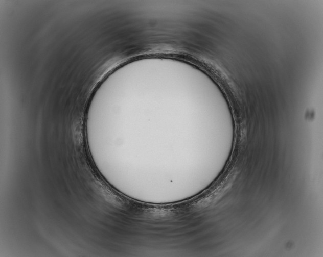 X0000099551409200806061506