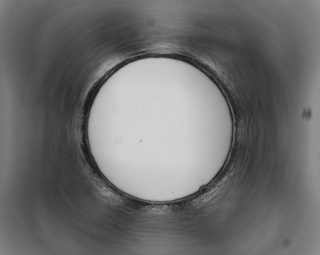 X0000099551410200806061506