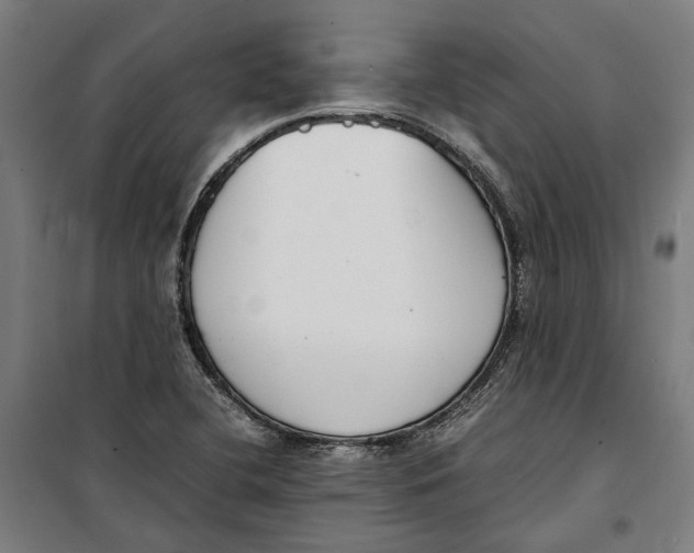 X0000099551412200806061506