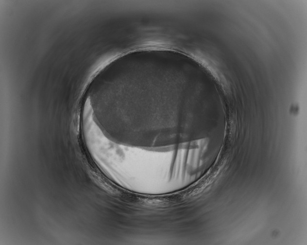 X0000099551413200806061506