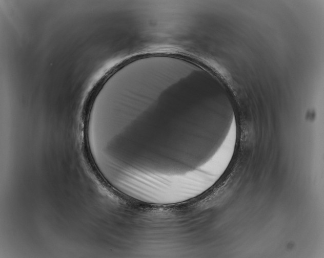 X0000099551414200806061506