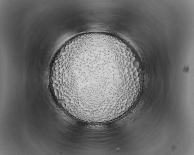 X0000099551415200806061506