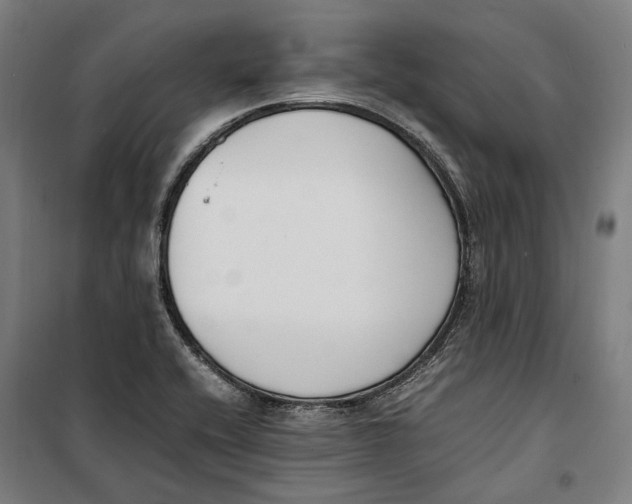 X0000099551416200806061506