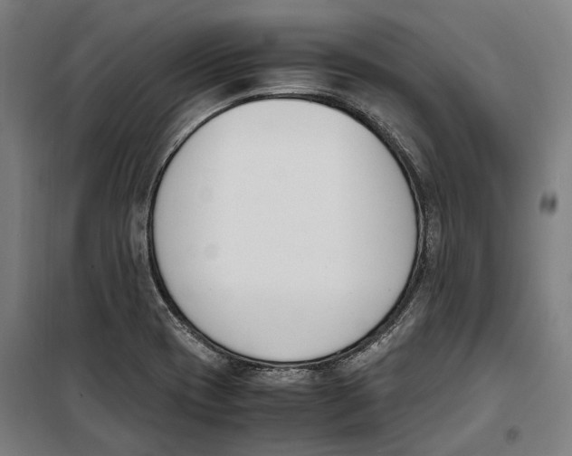 X0000099551417200806061506