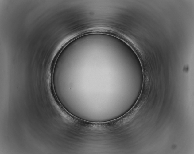 X0000099551418200806061506