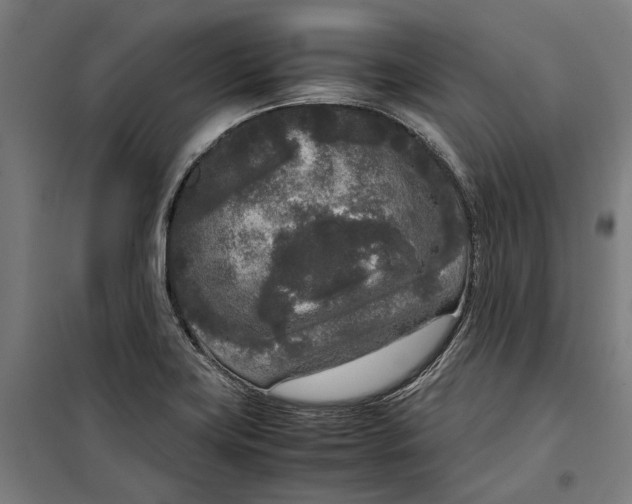 X0000099551419200806061506