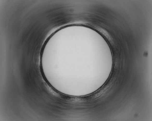 X0000099551420200806061506