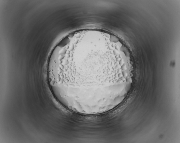 X0000099551421200806061506