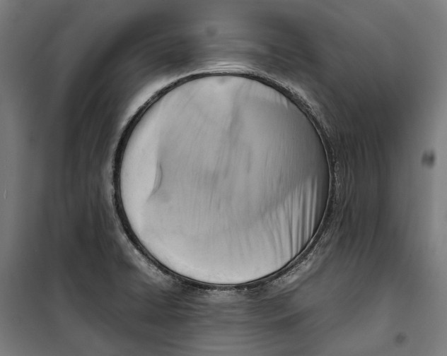 X0000099551422200806061506