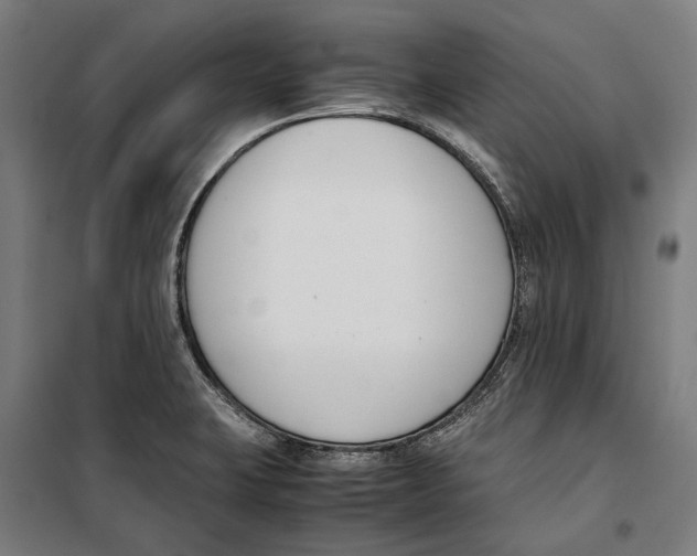 X0000099551423200806061506