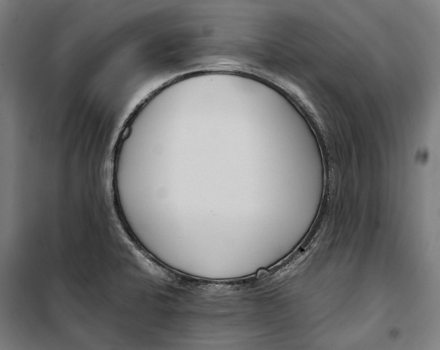 X0000099551424200806061506