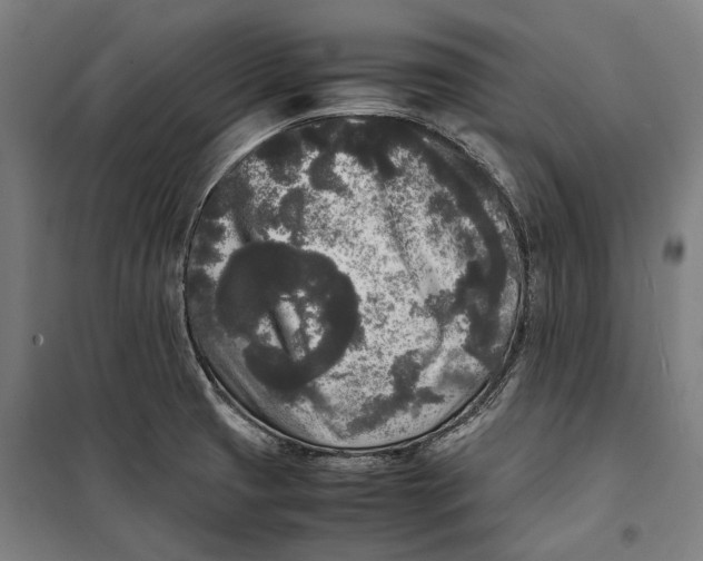 X0000099551425200806061506