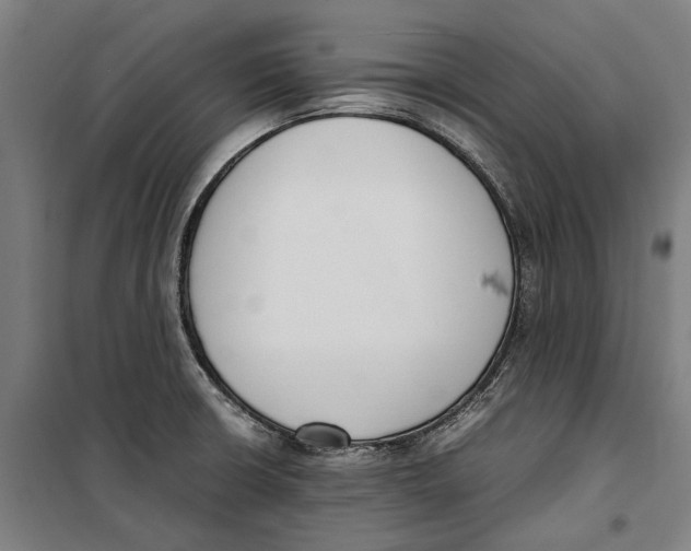 X0000099551426200806061506