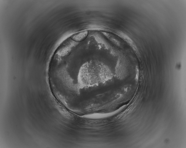 X0000099551427200806061506