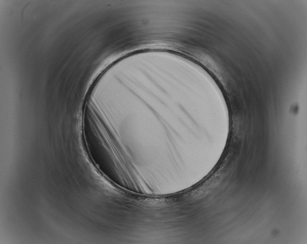 X0000099551428200806061506